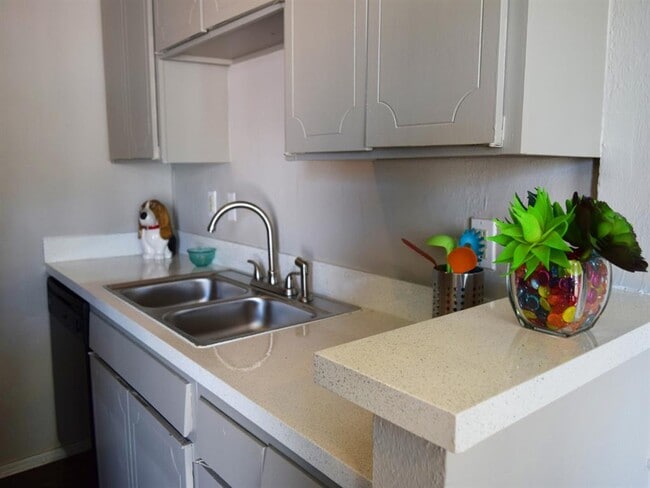 Photo - Lory of College Station