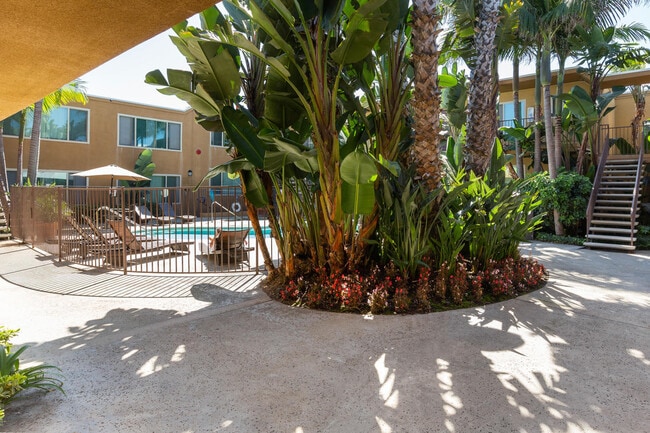 Elan Coco Palms Landscape