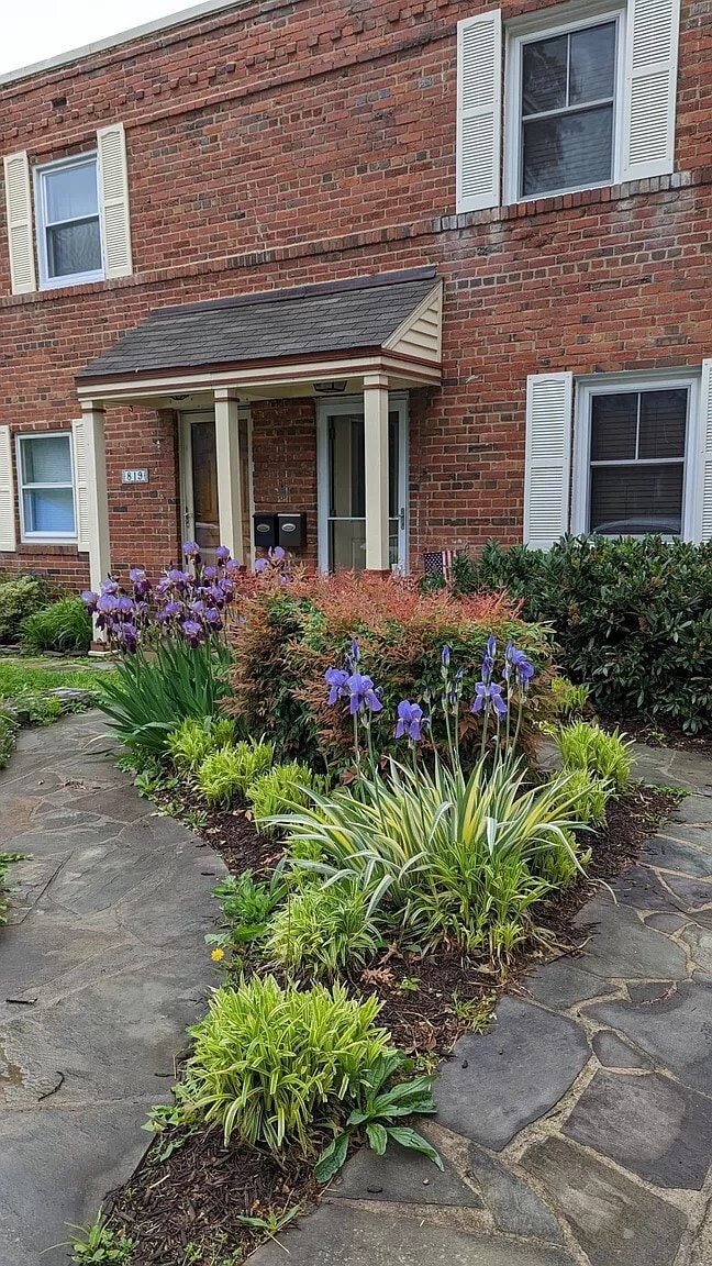 Building Photo - 821 S Ivy St