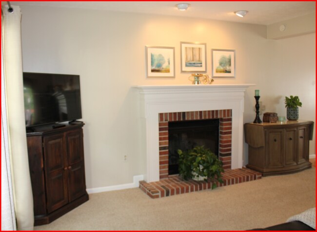 TV Room - 411 Lundy Ct
