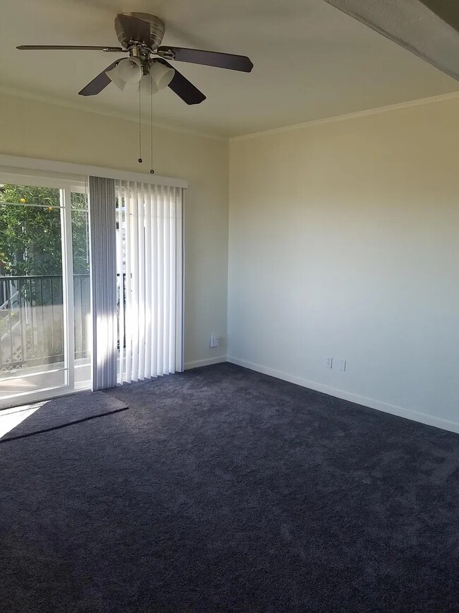 1617 Francis St Unit 1