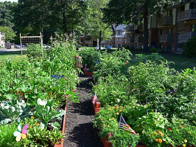 Community Gardens