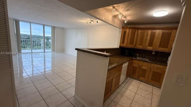 Photo - 16740 NE 9th Ave Unit 807