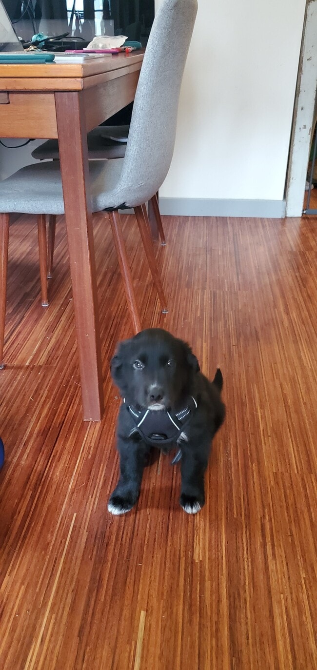 Photo - 12220 Densmore Ave N