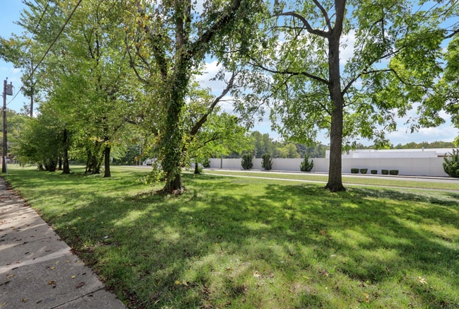 Photo - Blackwood Gardens