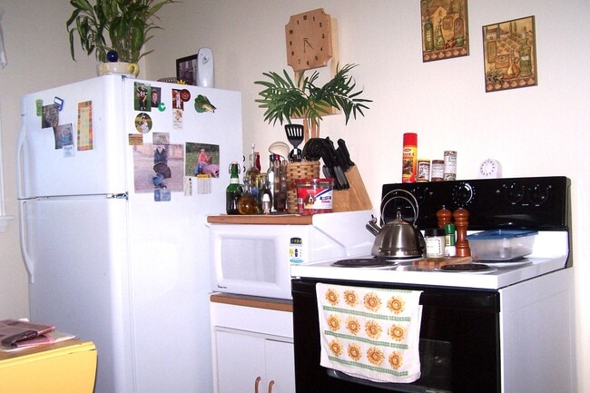 Kitchen Stove Frdige