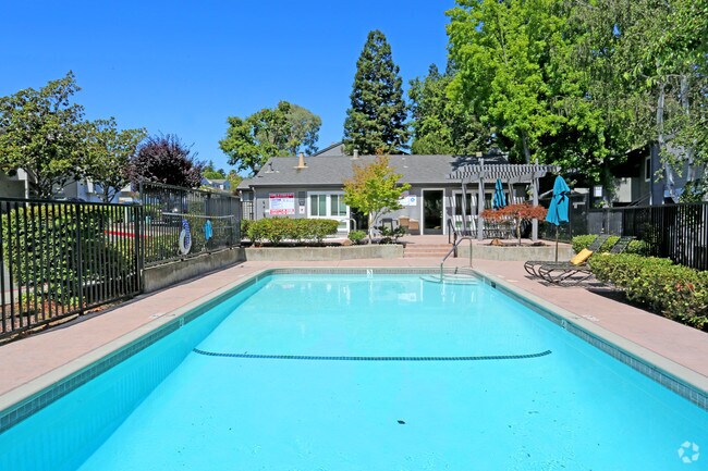 Plum Tree Apartments