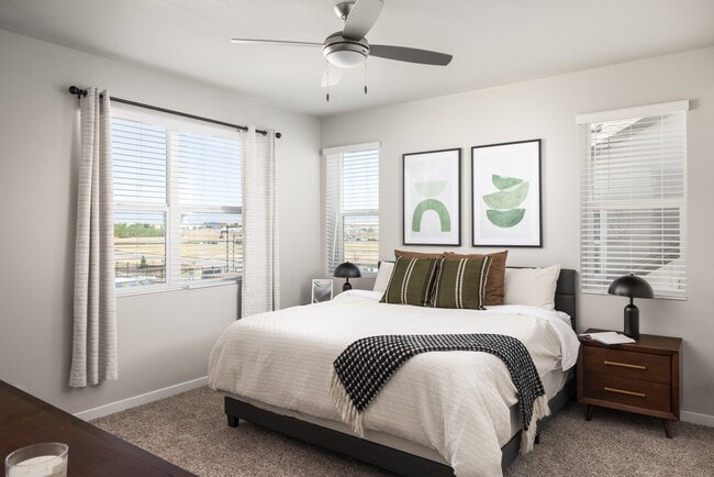VellaTerra Paired Homes