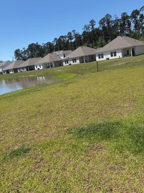 Photo - 24354 Gadwall Ave