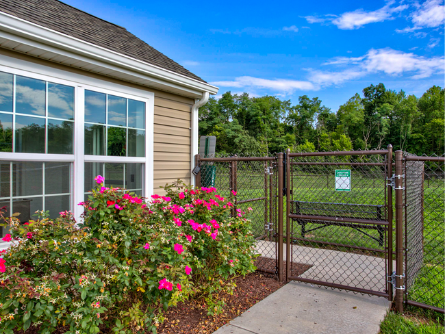 Parque para perros - Misty Creek Village