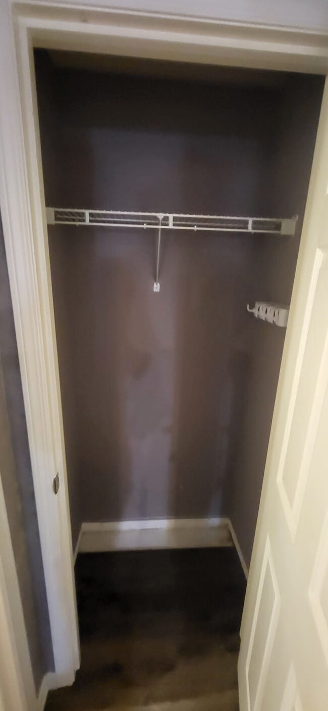 Downstairs Closet