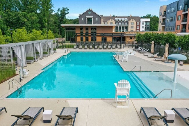 Photo - Lerner Black Hill