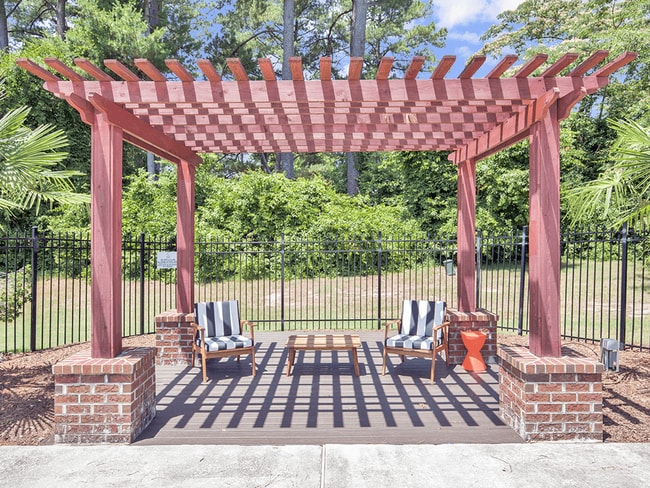 Shaded Tree Arbor