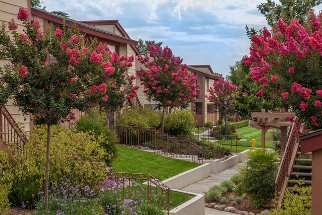 Photo - Don Miguel Apartments