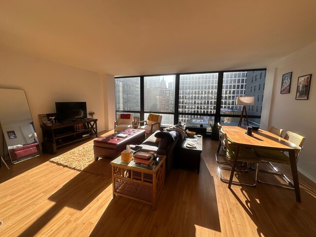 Spacious 1bed/1bath in the Iconic Mies Van... - Spacious 1bed/1bath in the Iconic Mies Van... Unidad 1506 Rental