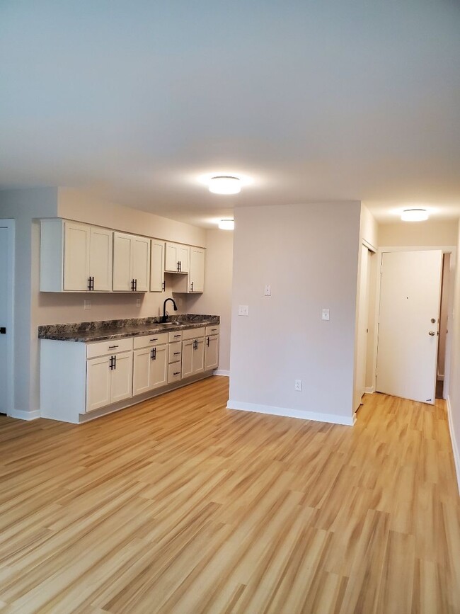 Unit #102 kitchen - Dolphin Square Apartments