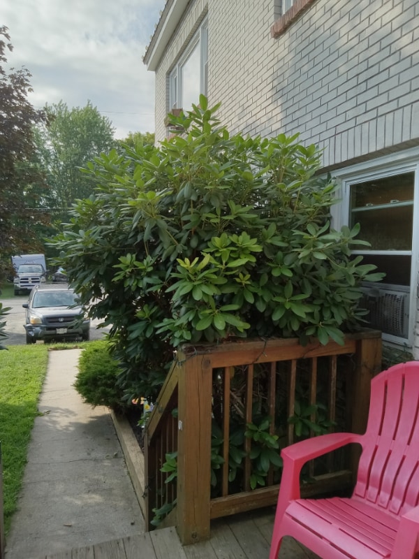 Photo - 199 Main St Unidad Apt 3