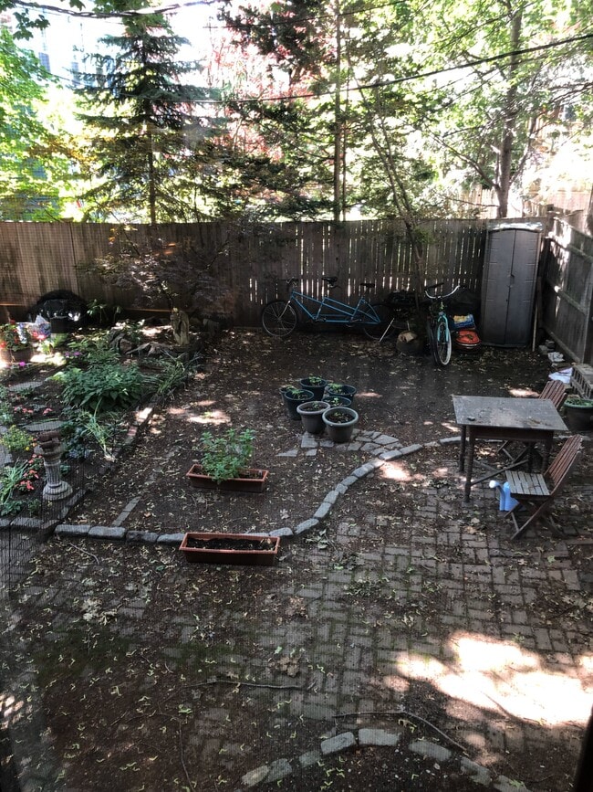 Backyard w access/shared - 13 Magazine St Unit 1