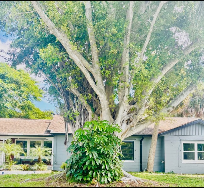 Photo - 857 Banyan Dr