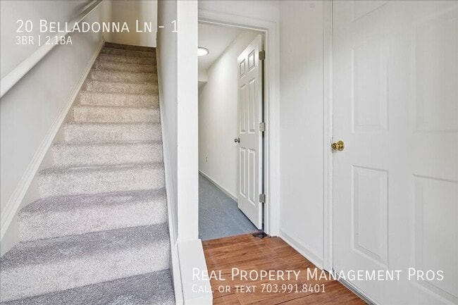 Photo - 20 Belladonna Ln