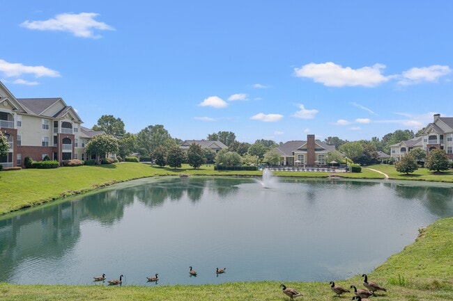 Kildaire Reserve Apartments