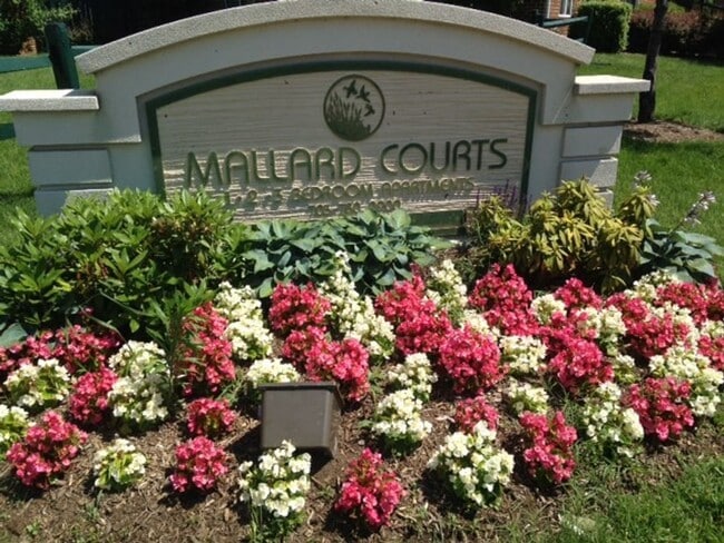 Photo - Mallard Courts Apartments