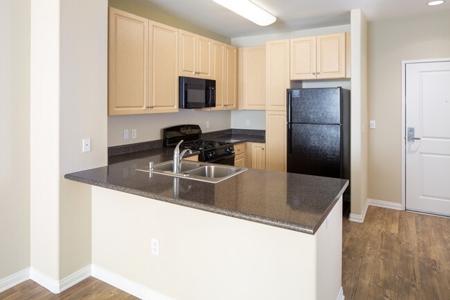 Kitchen with oak cabinetry, grey countertops, black appliances, and hard surface flooring