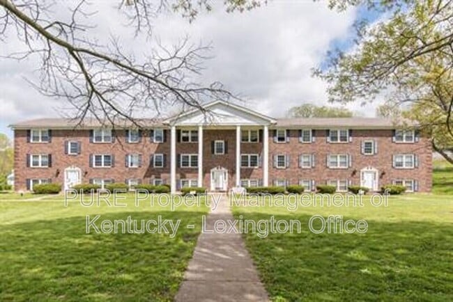 Building Photo - 429-1 Chestnut St Unit 16