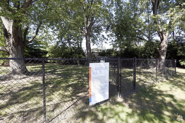 Dog Park