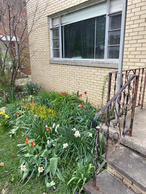 Photo - 1713 Shatto Ave Unidad 1713 Shatto Avenue