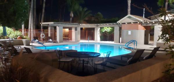 Piscina - Shadowtree Apartment Homes