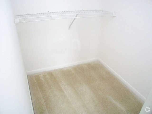 Closet - Paragon Plantation