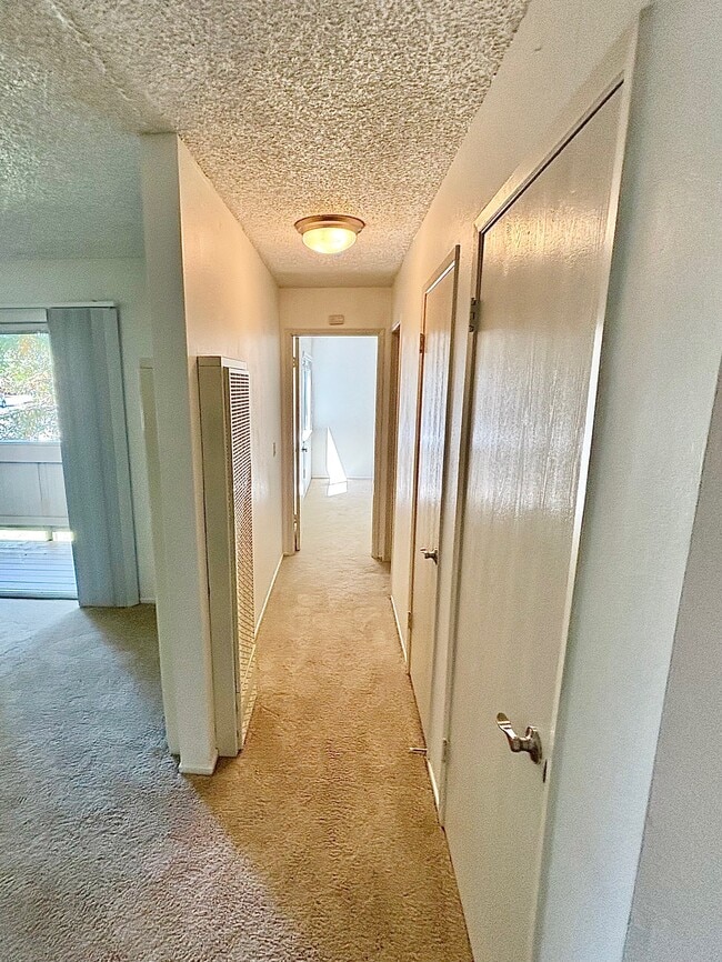 Photo - The Grove @ Glen Ellen