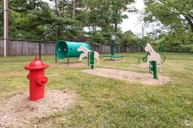 Dog Park