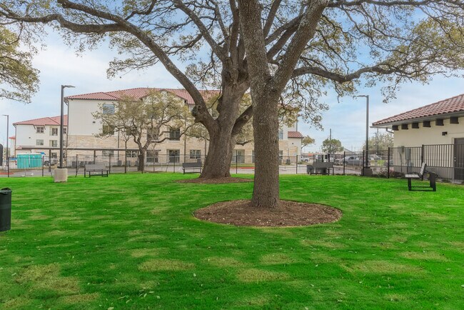 Dog Park
