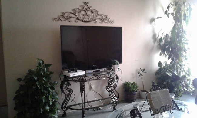 Big Screen TV - 1209 Krause Ct Unit 1209