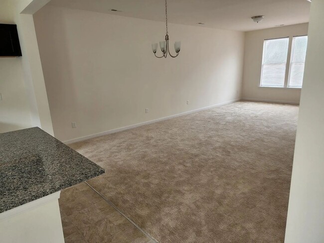 12229 Dutch Elm Cir