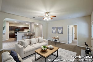 Photo - 8611 Spotted Owl