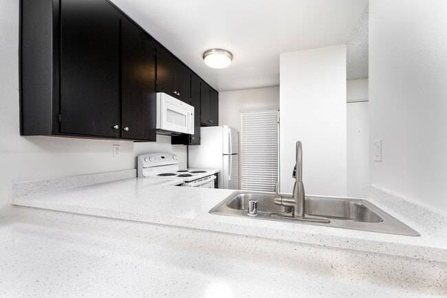 Photo - Antone Apartments