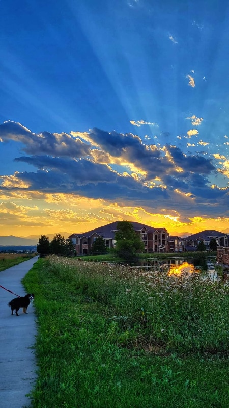 Photo - 1495 Blue Sky Way Unit 9-203