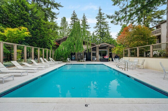 Pool’s Open! -Huge, refreshed 2 BR-2 Bath ... - Pool’s Open! -Huge, refreshed 2 BR-2 Bath ... Rental