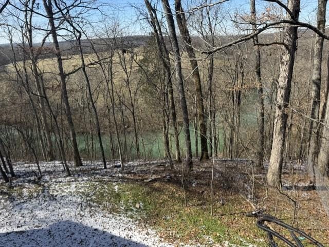 Photo - 625 Latti Reese Rd