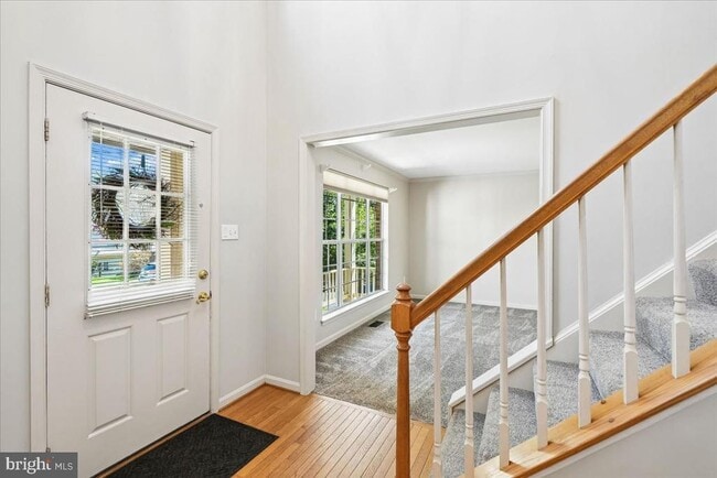 Photo - 18512 Fiddleleaf Terrace