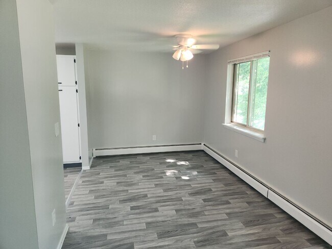 Dining Room /Ceiling Fan