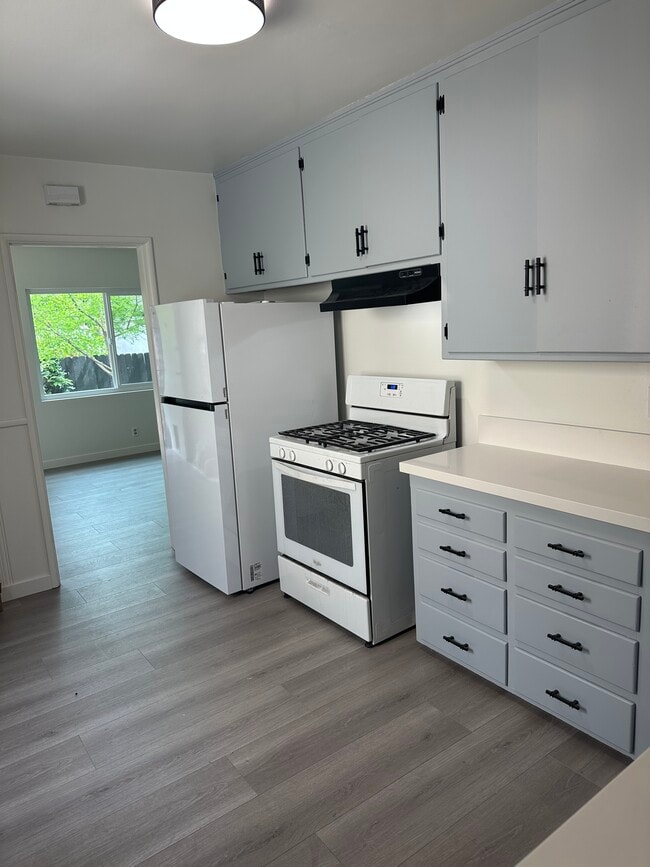 Cocina - 205 W Palmer Ave