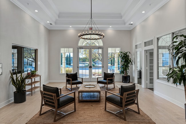 Photo - The Palazzo Apartments