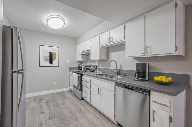 Newly Renovated Kitchens with Stainless Steel Appliances