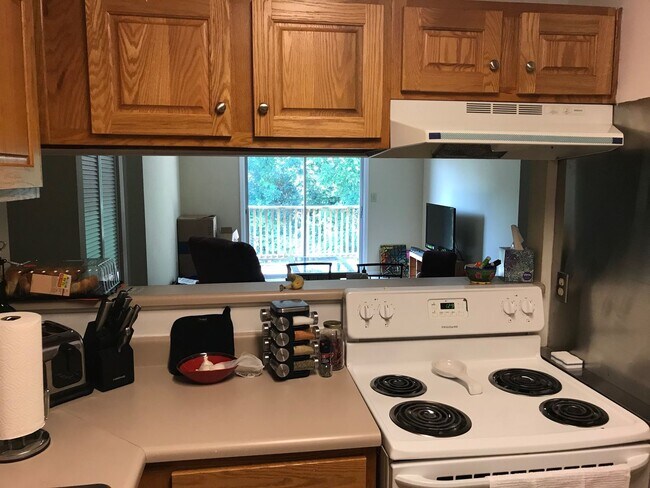 Photo - 4 BR/2 BA Apartment in Heart of Athens