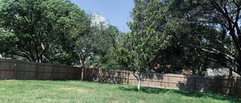 Photo - 11734 Oswalt Rd