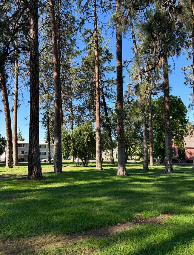 Photo - 405 S Coeur Dalene St Unit 3